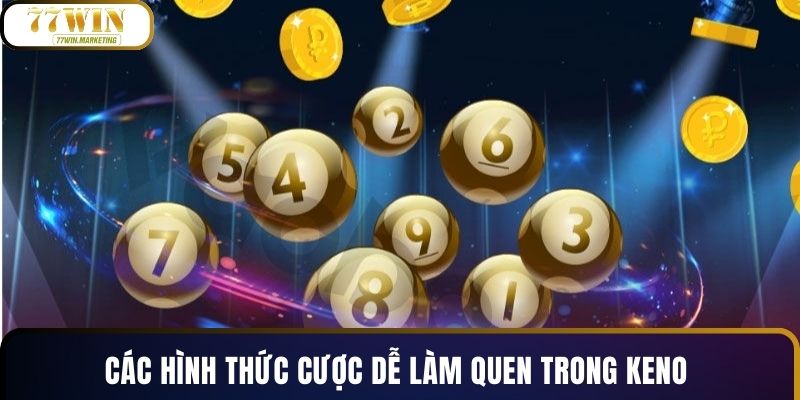 Các hình thức cược dễ làm quen trong keno 