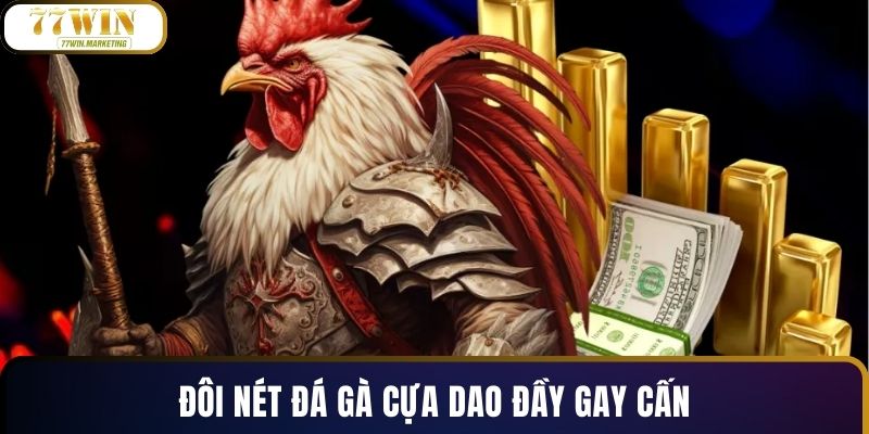 Đôi nét đá gà cựa dao đầy gay cấn