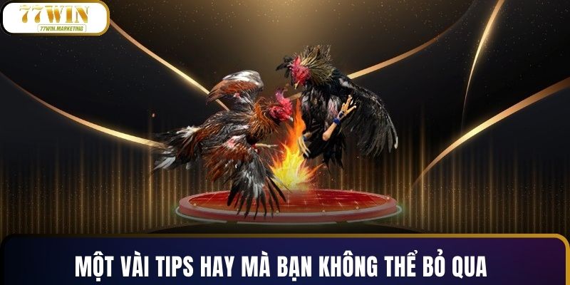 Một vài tips hay mà bạn không thể bỏ qua