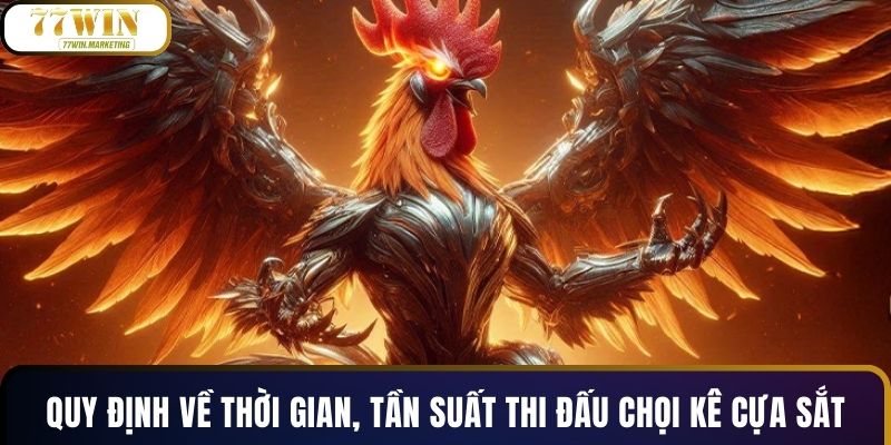Quy định về thời gian, tần suất thi đấu chọi kê cựa sắt